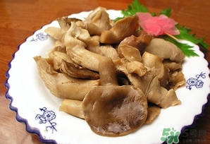 鮑魚菇怎么做好吃？鮑魚菇的功效與作用