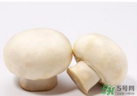 口菇變黑還能吃嗎？口菇的營(yíng)養(yǎng)價(jià)值