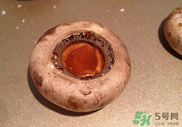 口菇變黑還能吃嗎？口菇的營(yíng)養(yǎng)價(jià)值