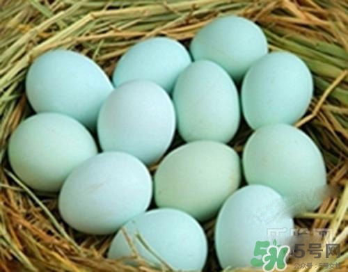 綠皮雞蛋是怎么回事？綠皮雞蛋的營養(yǎng)價值
