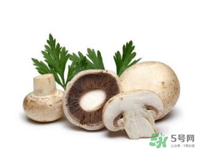 草菇怎么保存？新鮮草菇怎么保存？