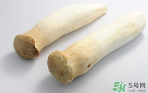 雞腿菇長白毛能吃嗎？雞腿菇怎么做好吃？