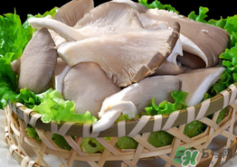 蘑菇可以放冰箱嗎？蘑菇放冰箱長(zhǎng)毛了能吃嘛？