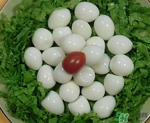 鵪鶉蛋一天吃幾個合適？鵪鶉蛋一天最多吃幾個？