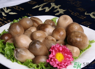 草菇可以放冰箱嗎？草菇放冰箱還能吃嗎？
