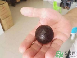 羊?qū)毷鞘裁?？羊?qū)殲槭裁催@么貴？