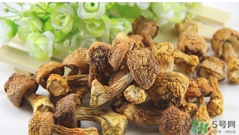 巴西蘑菇怎么吃？巴西蘑菇的作用與功效