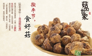 巴西蘑菇怎么吃？巴西蘑菇的作用與功效