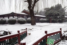 下雪穿什么鞋防滑效果最好？下雪天穿什么鞋子最防滑？