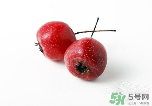 孕婦可以吃山楂嗎？孕婦吃山楂好嗎？