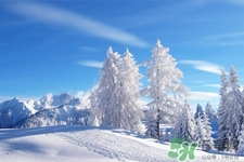 下雪天適合吃什么？下雪天吃什么食物好？