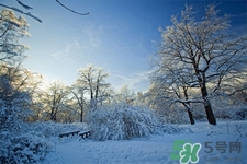 下雪天會打雷嗎？下雪天為什么會大雷？