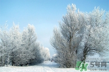 下雪天會打雷嗎？下雪天為什么會大雷？