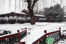 下雪高鐵會停運嗎？下雪天會影響高鐵嗎？