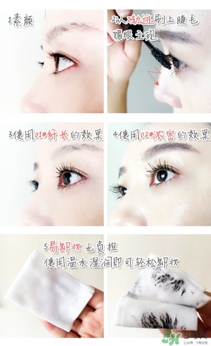 菲詩小鋪大肚子睫毛膏多少錢？菲詩小鋪大肚子睫毛膏專柜價