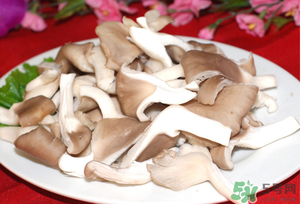 孕婦可以吃平菇嗎？孕婦吃平菇有什么好處？