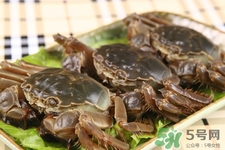 寶寶能吃螃蟹嗎？寶寶可以吃螃蟹肉嗎？