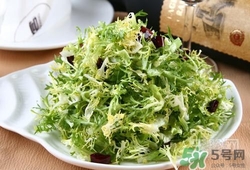 苦菊可以減肥嗎？苦菊怎么吃可以減肥？