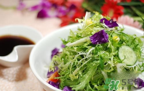苦菊可以減肥嗎？苦菊怎么吃可以減肥？