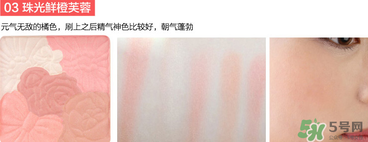 canmake花瓣腮紅珠光還是啞光好？canmake腮紅珠光好看還是啞光？