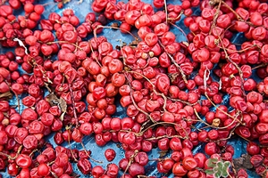 五味子茶韓國怎么喝？五味子茶的五種味道代表什么？