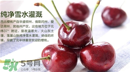 車厘子能和牛奶一起吃嗎?車厘子和牛奶一起吃好嗎?
