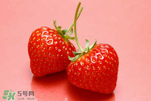 冬天有草莓嗎？冬天的草莓能吃嗎？