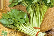 冬天可以吃空心菜嗎？冬天排毒多吃空心菜