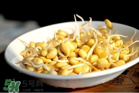 冬天可以發(fā)豆芽嗎？冬天怎樣發(fā)黃豆芽？