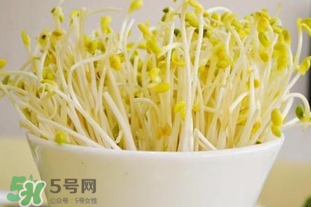 冬天可以發(fā)豆芽嗎？冬天怎樣發(fā)黃豆芽？