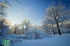 冬天怕冷吃什么好？冬天怕冷吃什么食物？