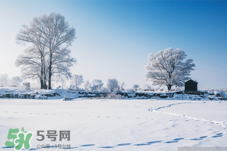 冬天怕冷吃什么好？冬天怕冷吃什么食物？