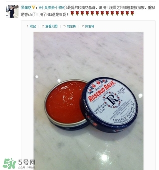 史密斯花蕾膏怎么用？史密斯花蕾膏使用方法