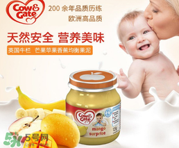 輔食泥哪個牌子好？輔食泥排行榜