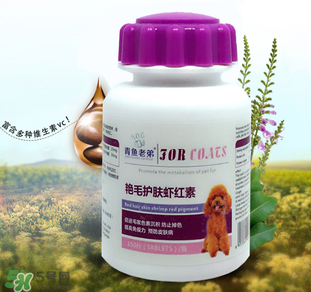 泰迪吃蝦紅素好嗎？蝦紅素的功效與作用
