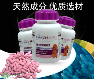 泰迪吃蝦紅素好嗎？蝦紅素的功效與作用