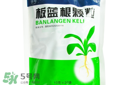 板藍根能天天喝嗎？板藍根可以經(jīng)常喝嗎？