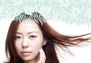 泊美這個(gè)牌子怎么樣？泊美是哪個(gè)國(guó)家的品牌？