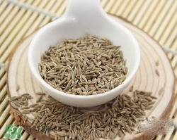 小茴香是孜然嗎？小茴香和孜然的區(qū)別