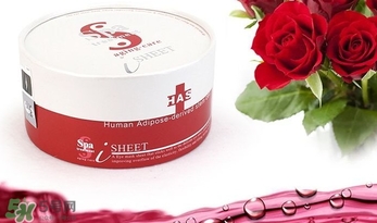 spa treatment是什么牌子？spa是什么檔次？