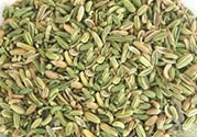 小茴香是孜然嗎？小茴香和孜然的區(qū)別