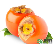 柿子籽能吃嗎？柿子籽的功效與作用