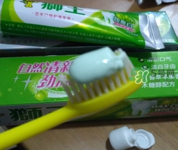 lion獅王是什么牌子？獅王是哪個國家的什么檔次？