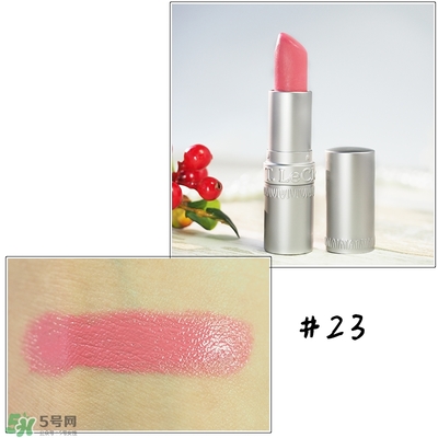 t.leclerc蕾克蕾口紅怎么樣？蕾克蕾唇膏試色色號圖
