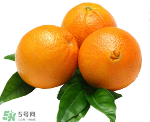 新鮮橙子皮可以泡水喝嗎？新鮮橙子皮的功效與作用
