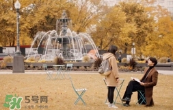 也許星星會(huì)帶走你的悲傷多少錢(qián)？也許星星會(huì)帶走你的悲傷價(jià)格