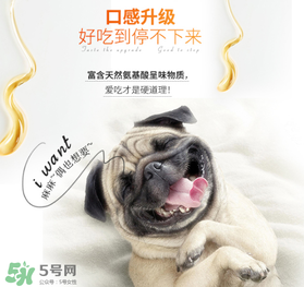 狗狗營養(yǎng)膏什么牌子好？狗狗營養(yǎng)膏多少錢？