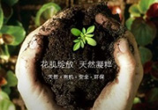 花肌粹護(hù)膚品怎么樣？花肌粹護(hù)膚品含激素嗎？