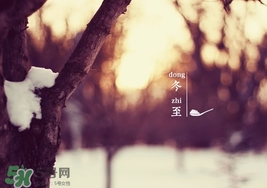 冬至要上墳嗎？冬至為什么要上墳？