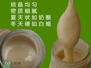 冬蜜是什么蜜？冬蜜的功效與作用